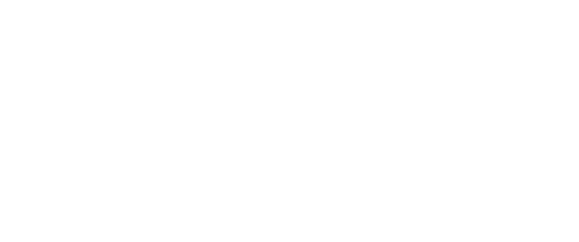 Weels Logo